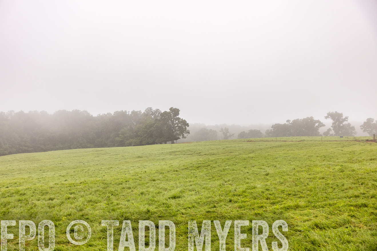 TMyers_PP_SleepyCreekFarm_Forsyth_July2024-514366