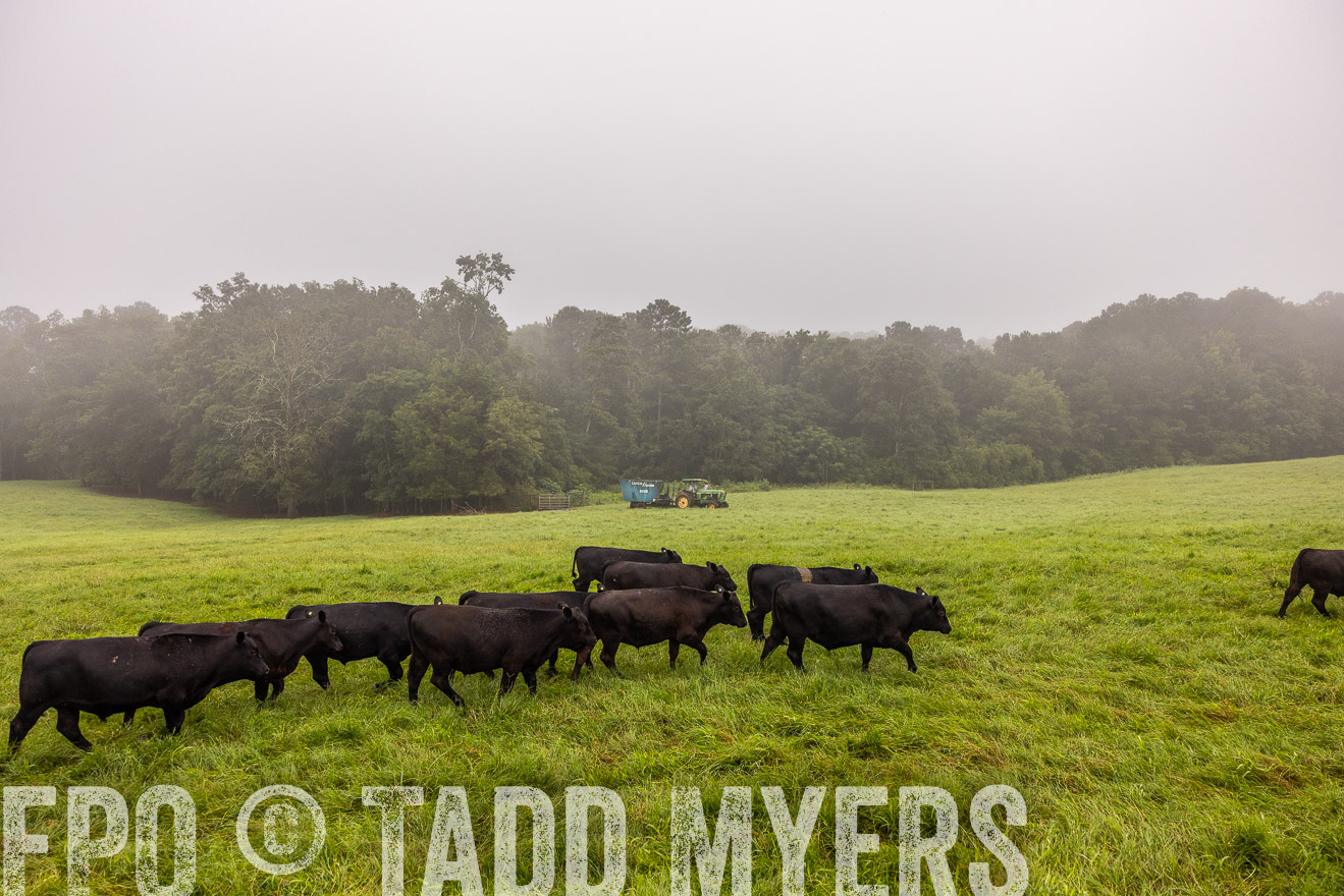 TMyers_PP_SleepyCreekFarm_Forsyth_July2024-514608