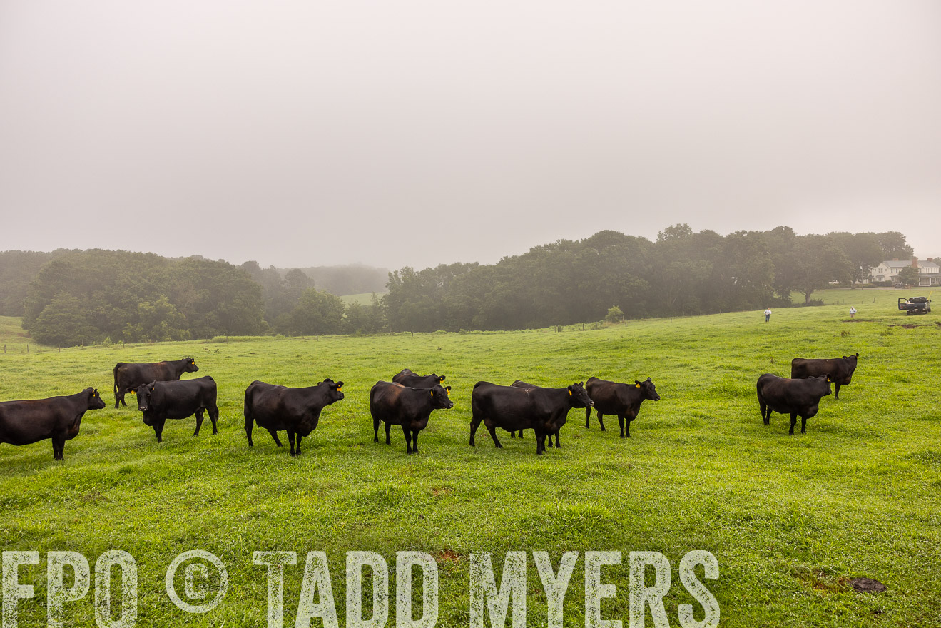 TMyers_PP_SleepyCreekFarm_Forsyth_July2024-515160