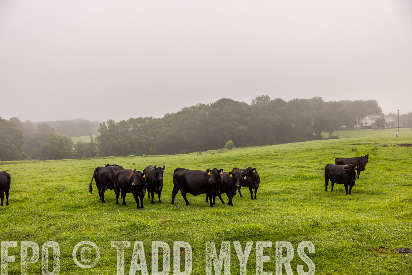 TMyers_PP_SleepyCreekFarm_Forsyth_July2024-515194