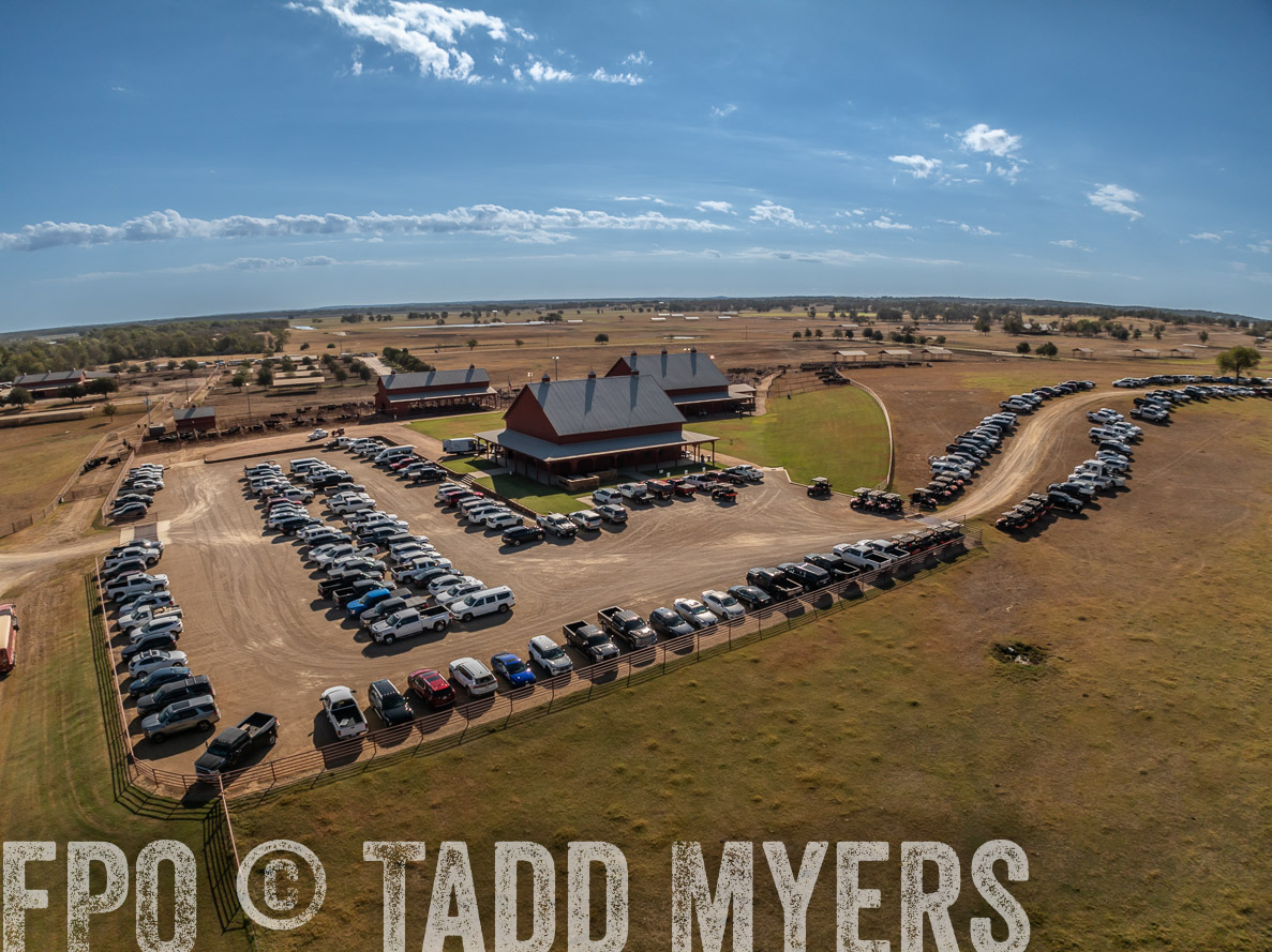 TMyers_FallBullSale_CameronTX_Oct_2024-0287