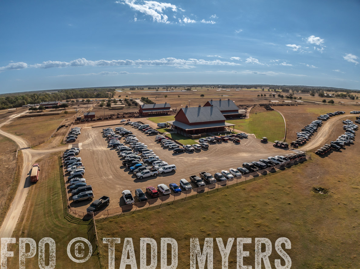 TMyers_FallBullSale_CameronTX_Oct_2024-0290