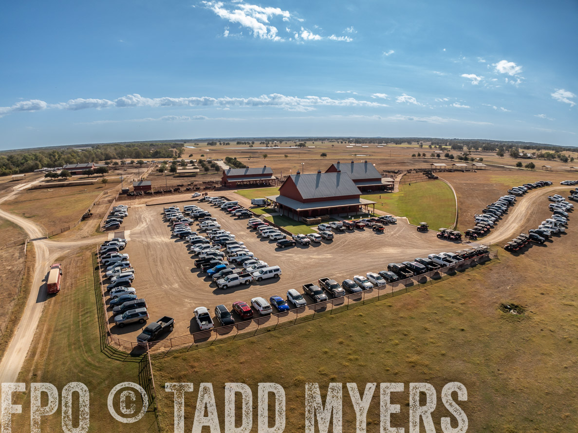 TMyers_FallBullSale_CameronTX_Oct_2024-0292