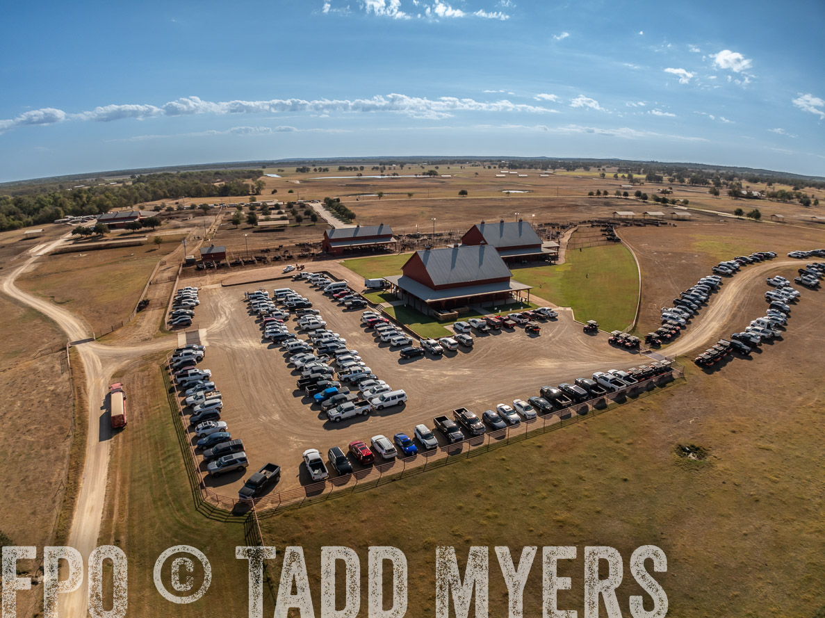 TMyers_FallBullSale_CameronTX_Oct_2024-0298