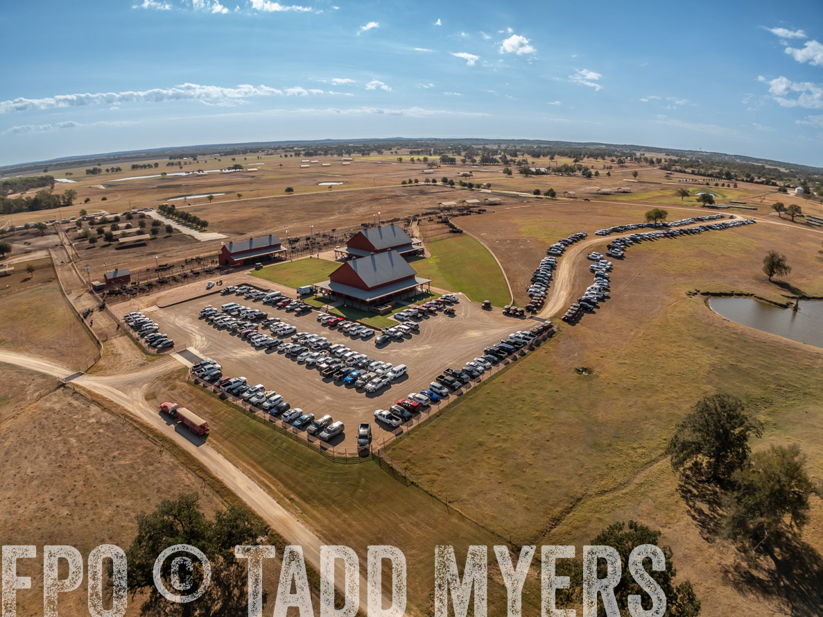 TMyers_FallBullSale_CameronTX_Oct_2024-0304