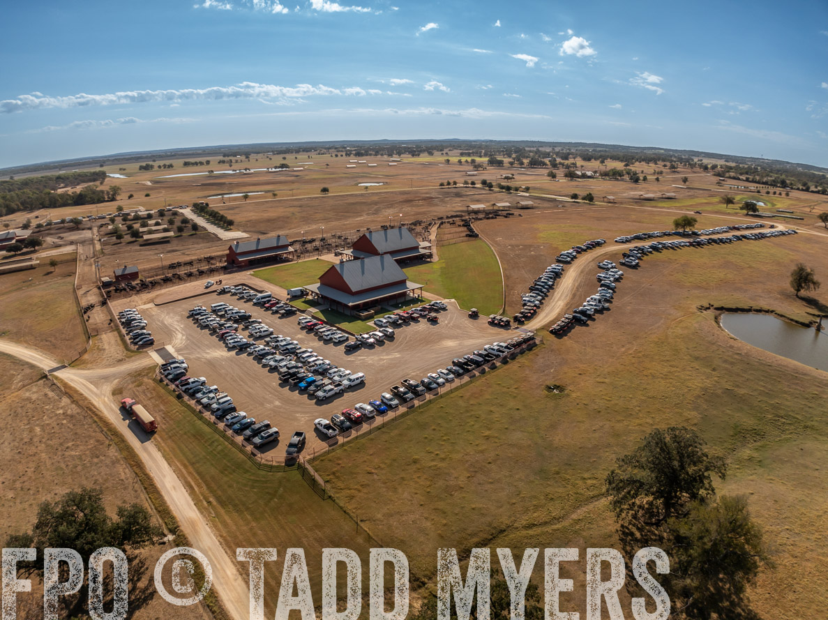 TMyers_FallBullSale_CameronTX_Oct_2024-0307