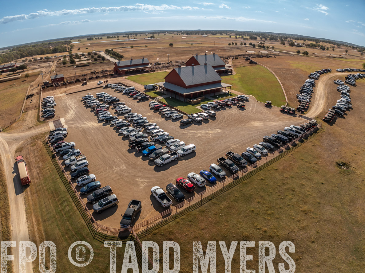 TMyers_FallBullSale_CameronTX_Oct_2024-0316