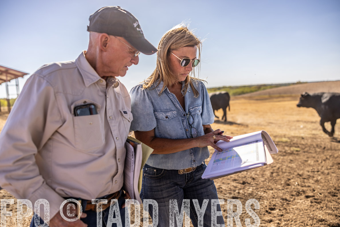 TMyers_FallBullSale_CameronTX_Oct_2024-510023