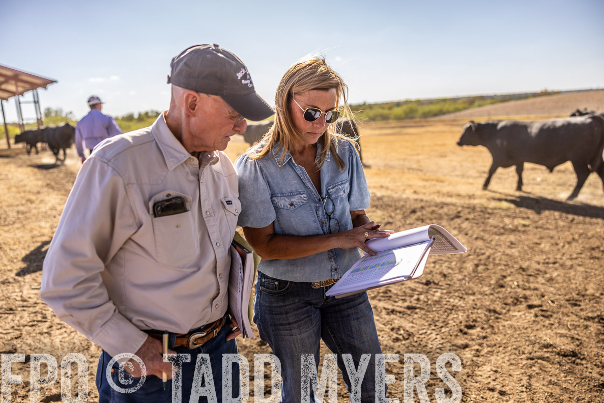 TMyers_FallBullSale_CameronTX_Oct_2024-510026