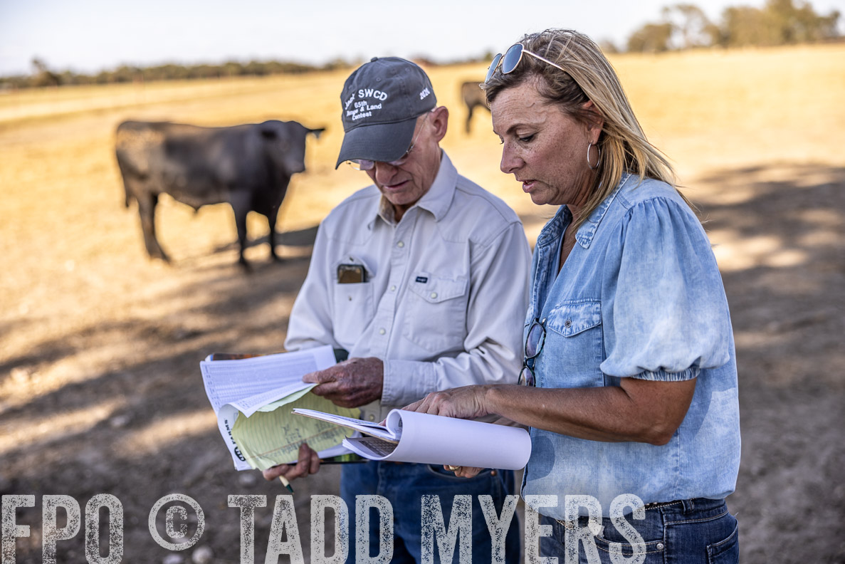 TMyers_FallBullSale_CameronTX_Oct_2024-510062