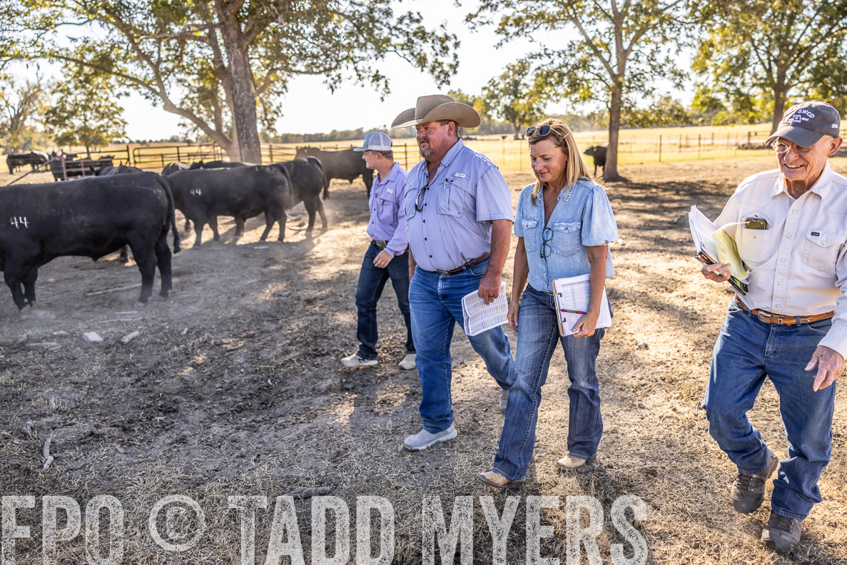TMyers_FallBullSale_CameronTX_Oct_2024-510106