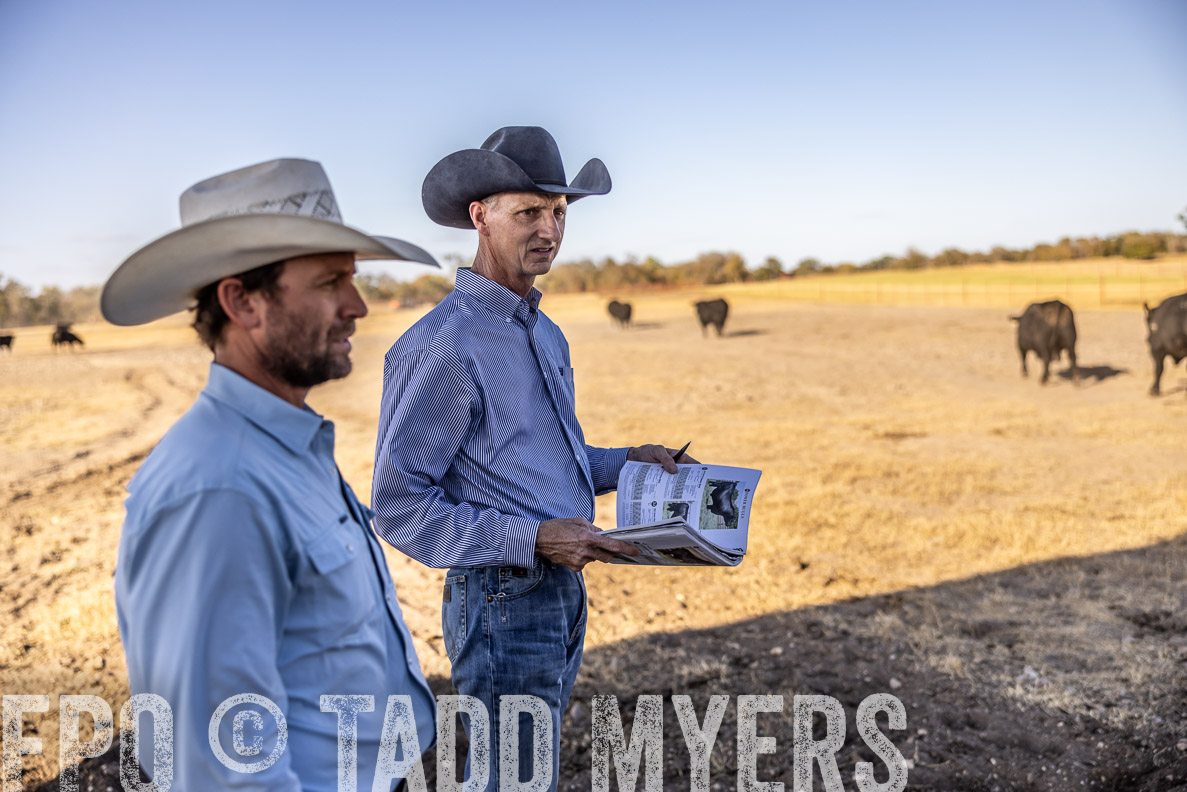 TMyers_FallBullSale_CameronTX_Oct_2024-510176