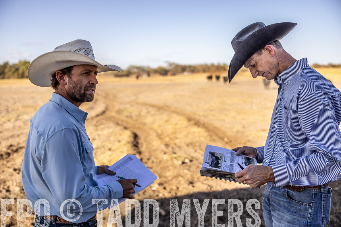 TMyers_FallBullSale_CameronTX_Oct_2024-510178