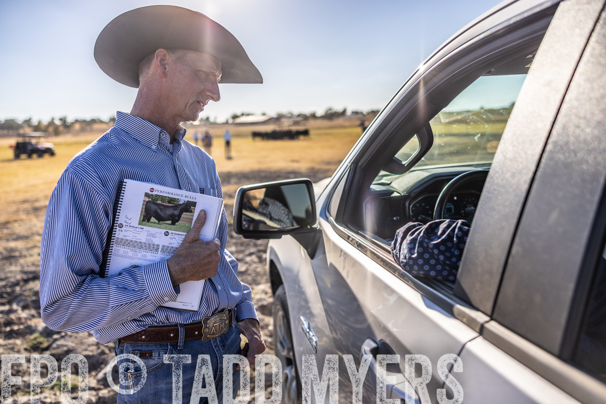 TMyers_FallBullSale_CameronTX_Oct_2024-510223