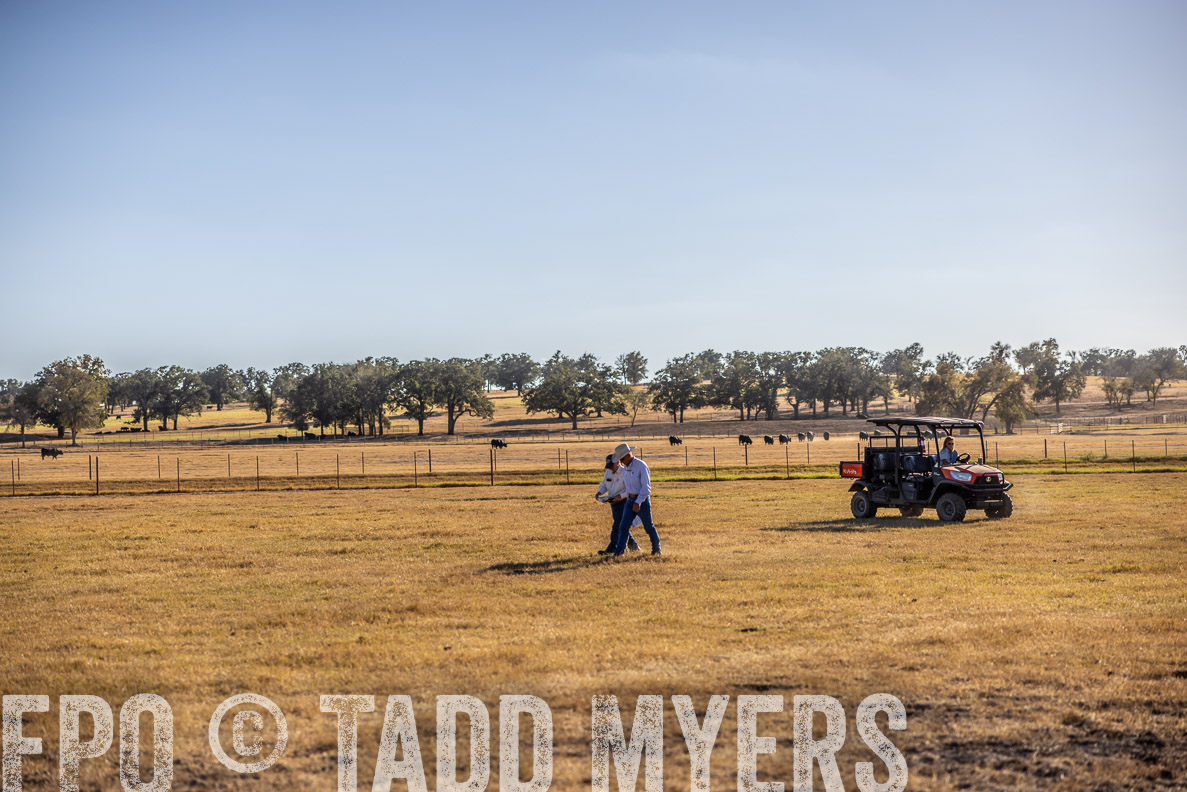 TMyers_FallBullSale_CameronTX_Oct_2024-510295