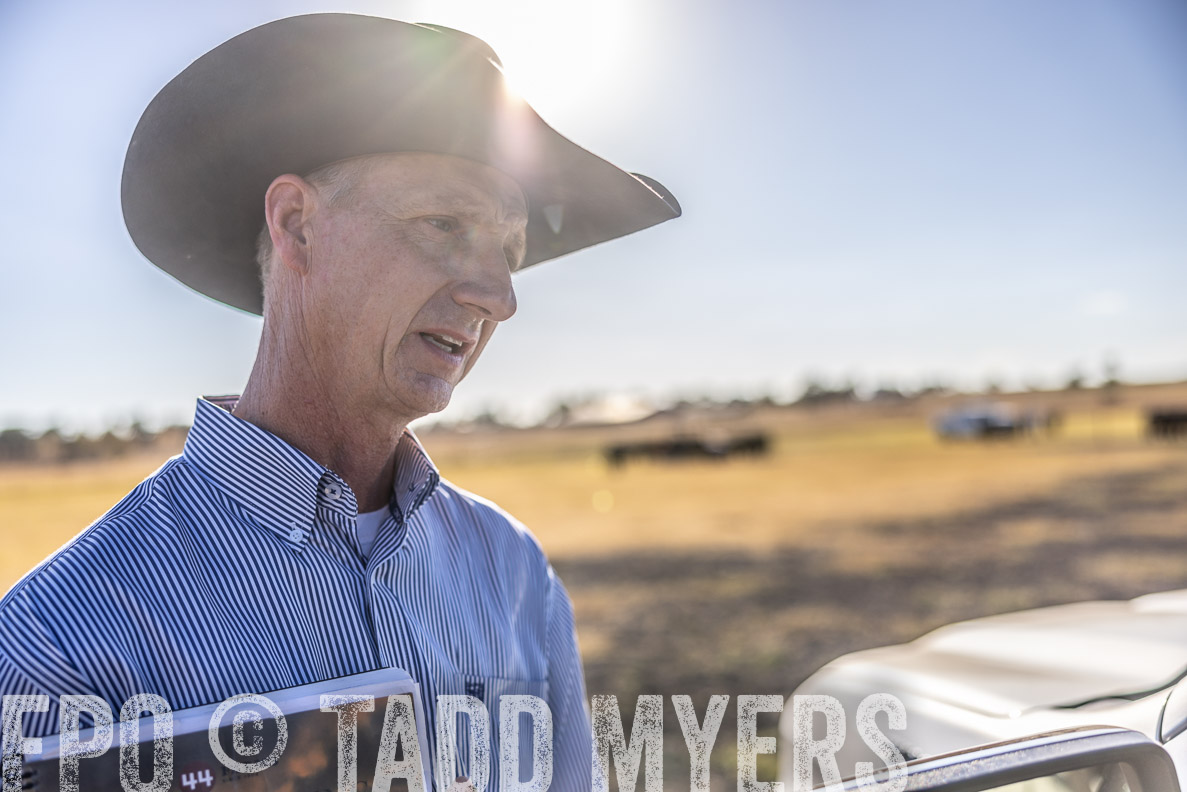 TMyers_FallBullSale_CameronTX_Oct_2024-510334