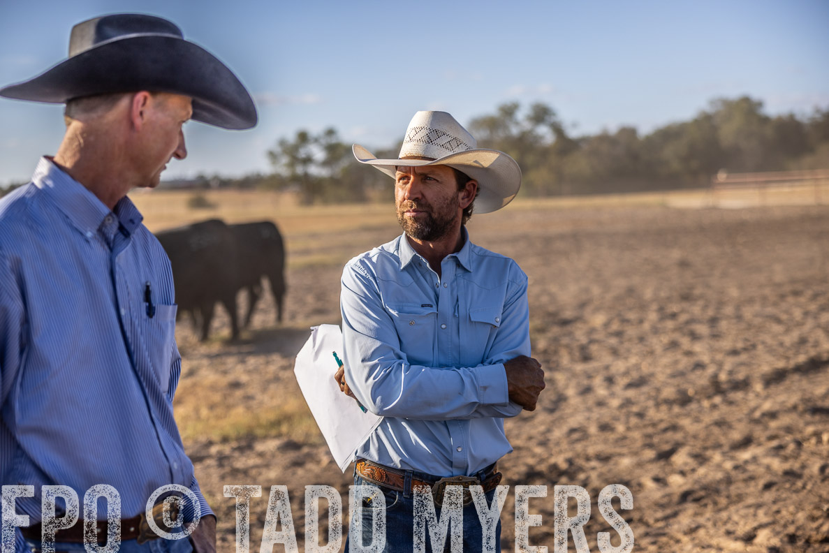 TMyers_FallBullSale_CameronTX_Oct_2024-510336