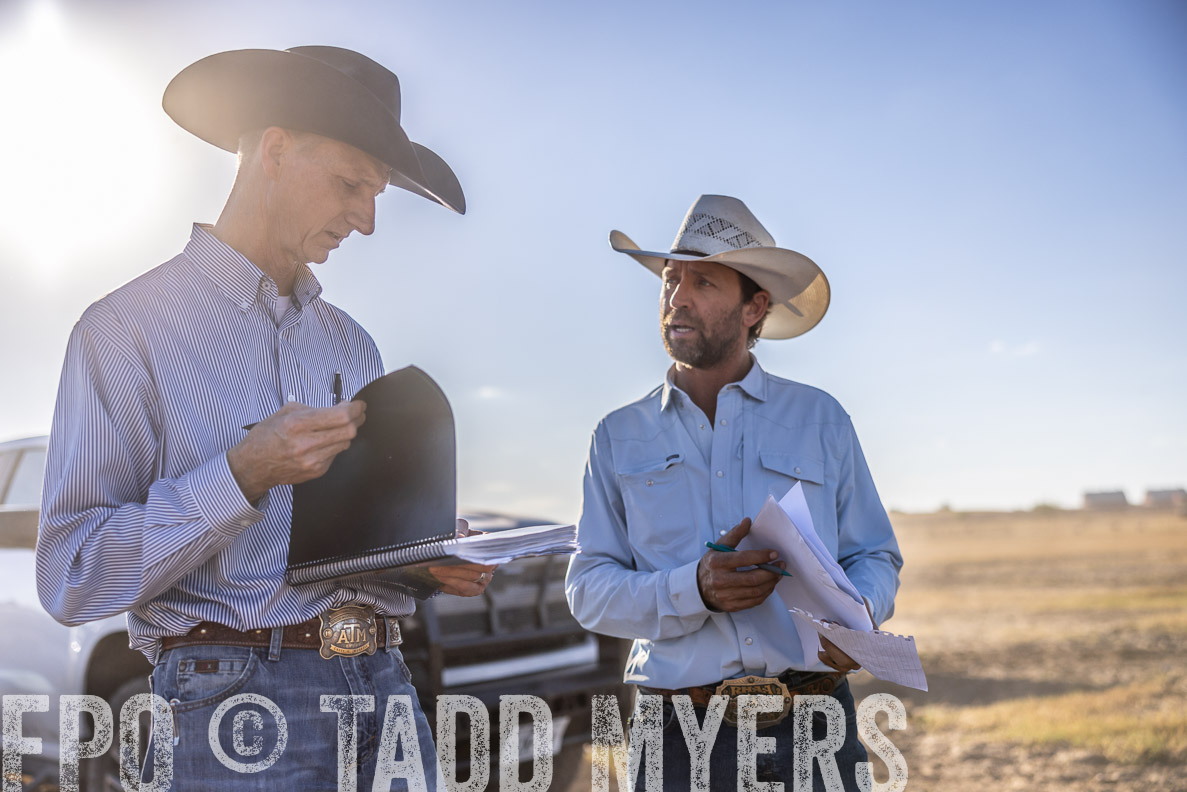 TMyers_FallBullSale_CameronTX_Oct_2024-510399