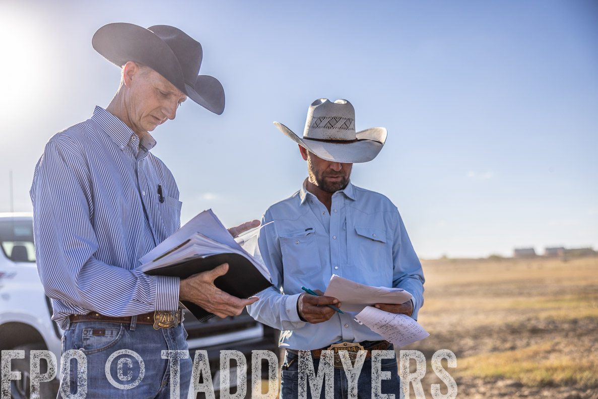 TMyers_FallBullSale_CameronTX_Oct_2024-510404