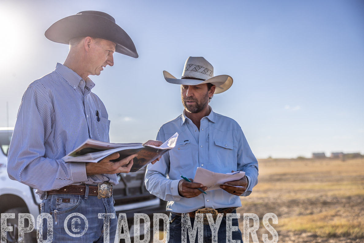TMyers_FallBullSale_CameronTX_Oct_2024-510407