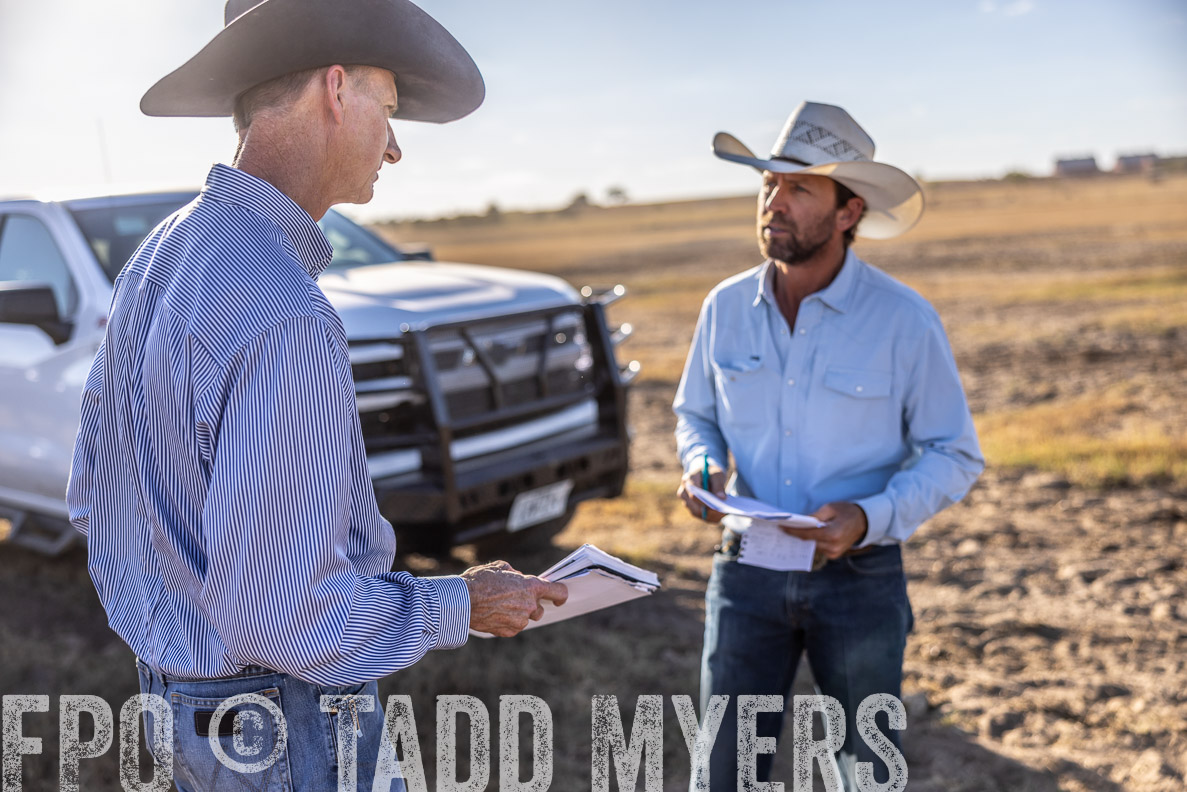 TMyers_FallBullSale_CameronTX_Oct_2024-510417