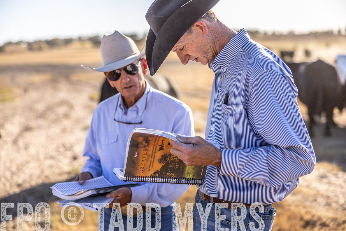 TMyers_FallBullSale_CameronTX_Oct_2024-510438