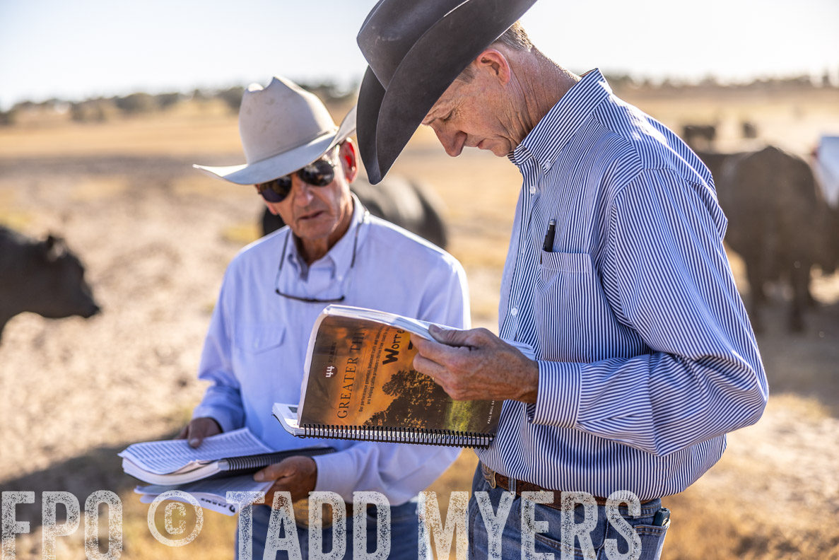 TMyers_FallBullSale_CameronTX_Oct_2024-510440