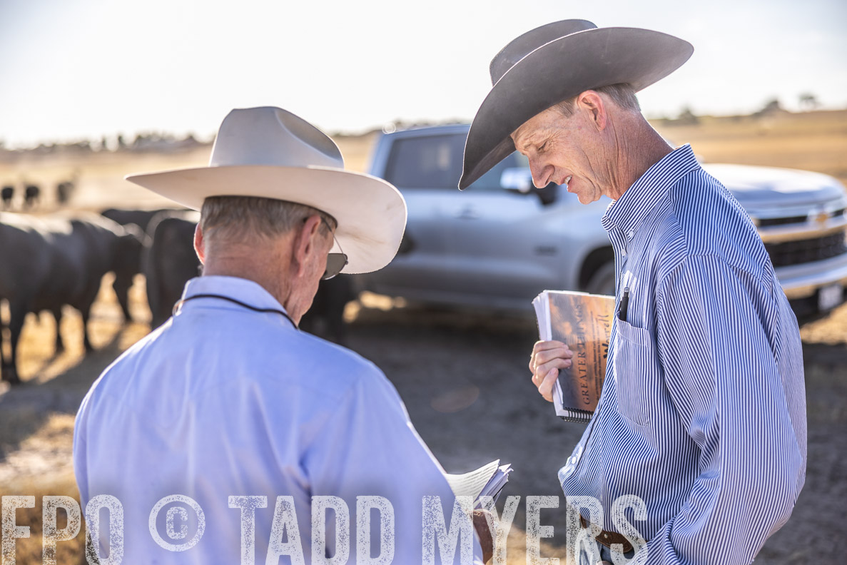 TMyers_FallBullSale_CameronTX_Oct_2024-510457
