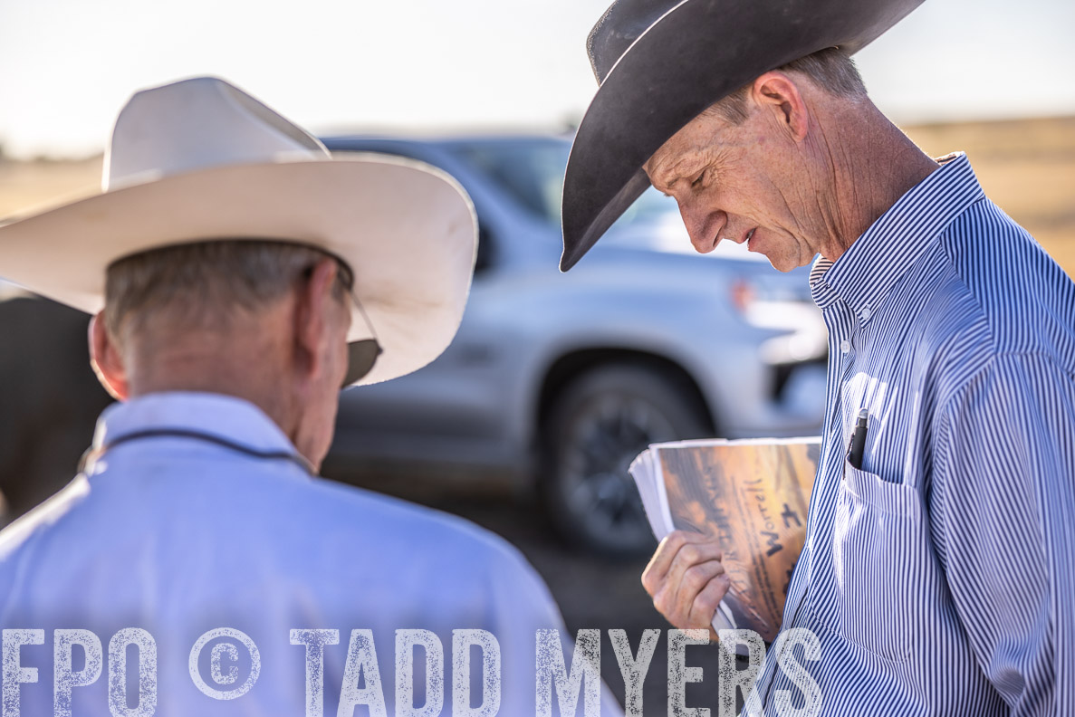 TMyers_FallBullSale_CameronTX_Oct_2024-510460