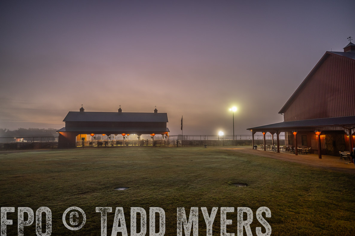 TMyers_FallBullSale_CameronTX_Oct_2024-511501