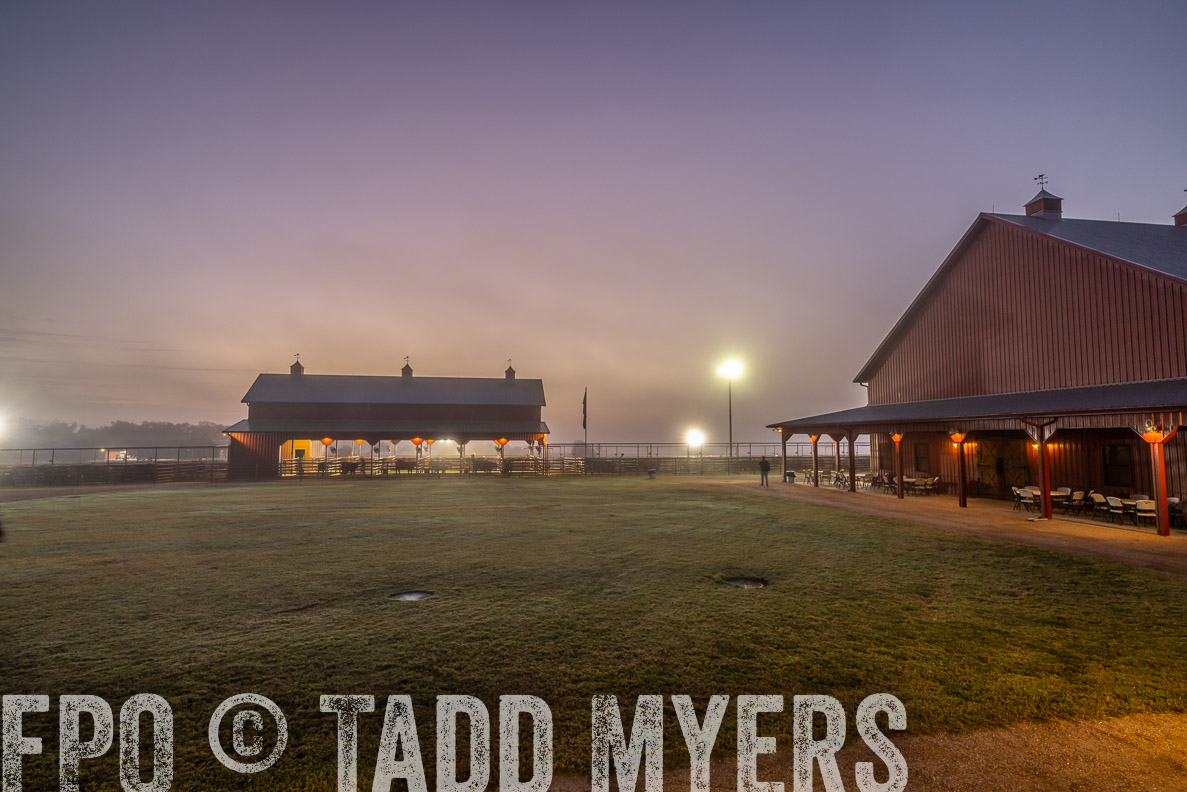 TMyers_FallBullSale_CameronTX_Oct_2024-511510