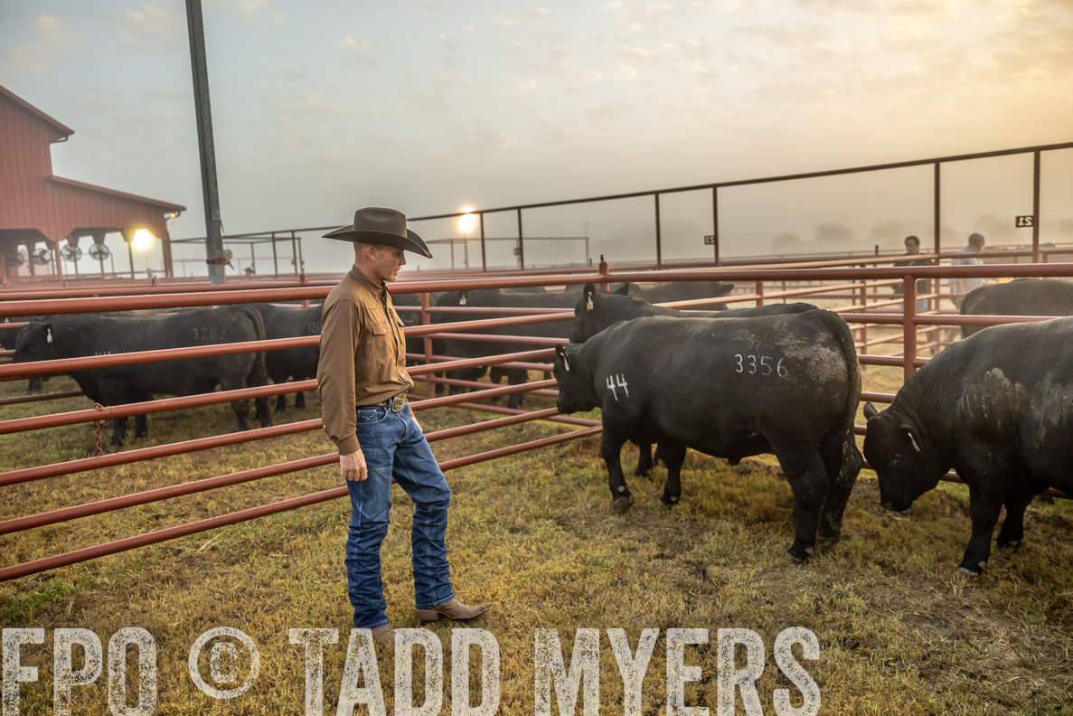 TMyers_FallBullSale_CameronTX_Oct_2024-511619