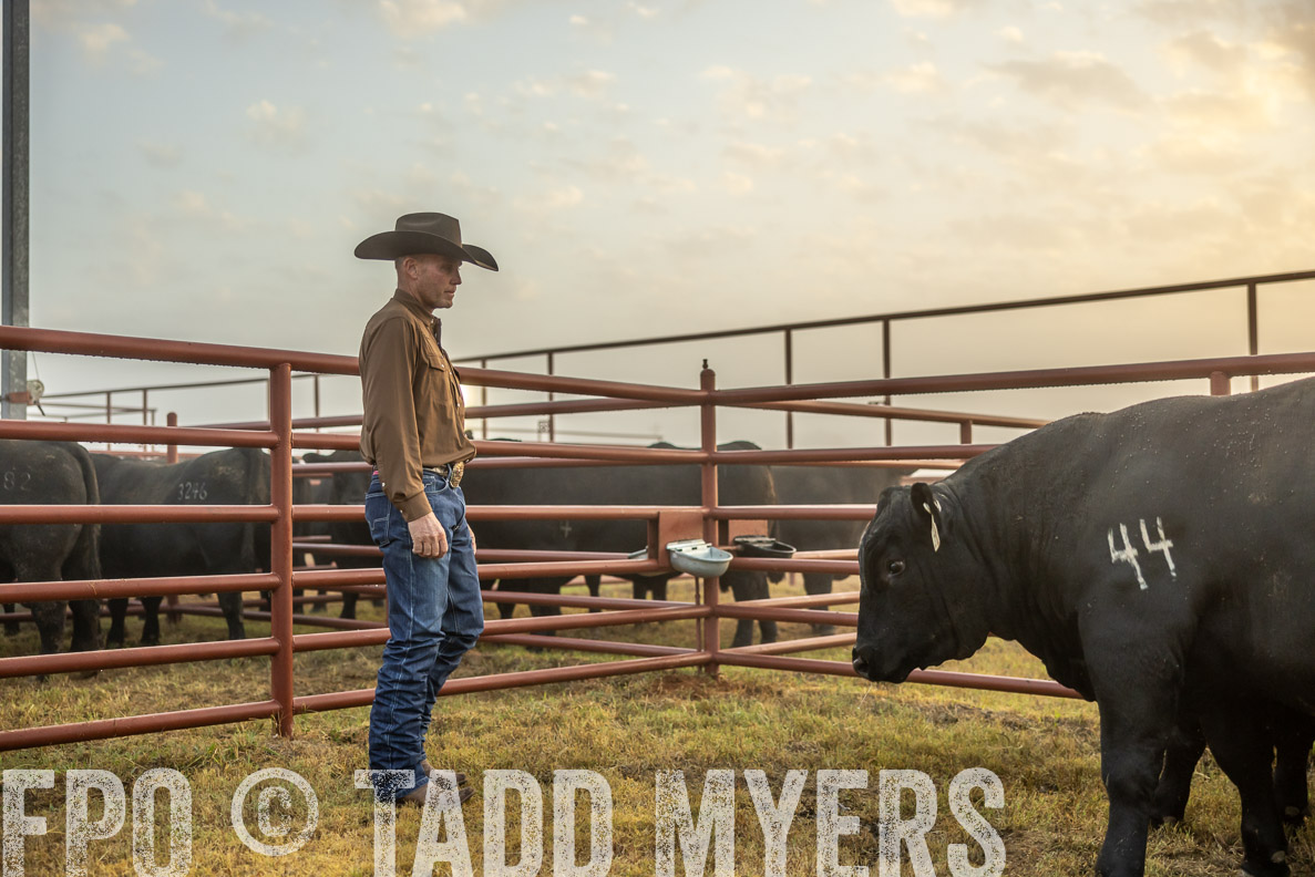 TMyers_FallBullSale_CameronTX_Oct_2024-511627