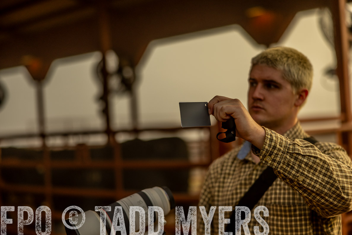 TMyers_FallBullSale_CameronTX_Oct_2024-511911