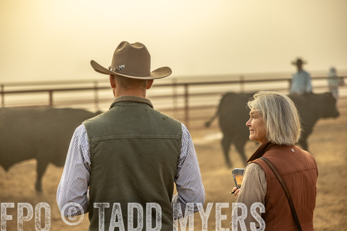 TMyers_FallBullSale_CameronTX_Oct_2024-512029