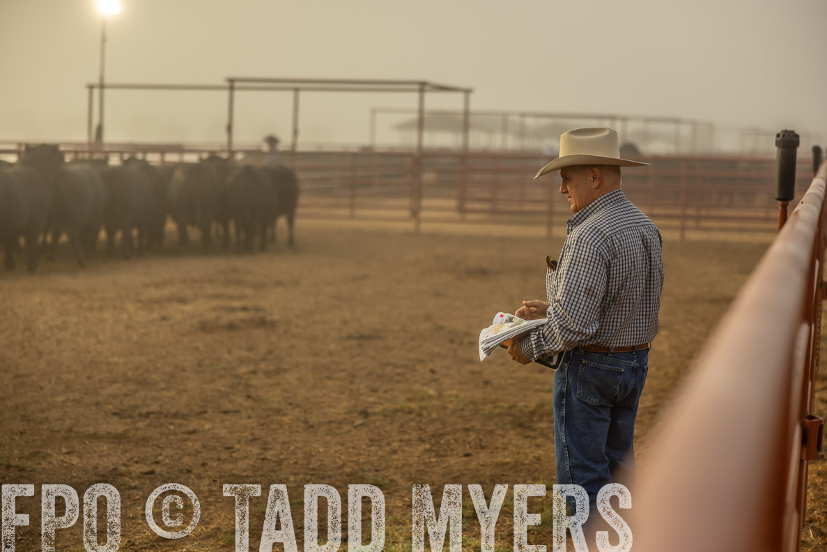 TMyers_FallBullSale_CameronTX_Oct_2024-512095