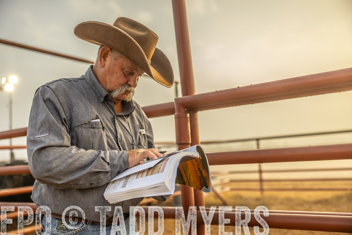 TMyers_FallBullSale_CameronTX_Oct_2024-512158