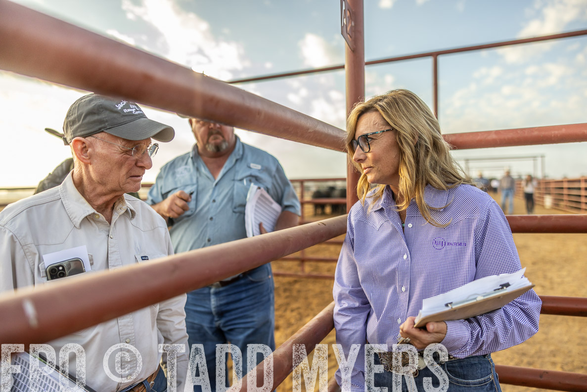 TMyers_FallBullSale_CameronTX_Oct_2024-512298