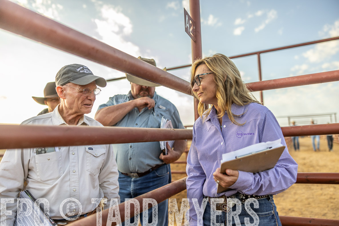 TMyers_FallBullSale_CameronTX_Oct_2024-512301