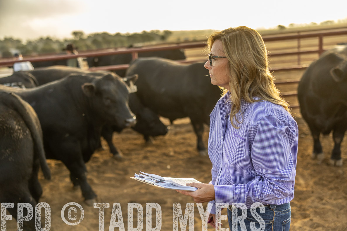 TMyers_FallBullSale_CameronTX_Oct_2024-512310