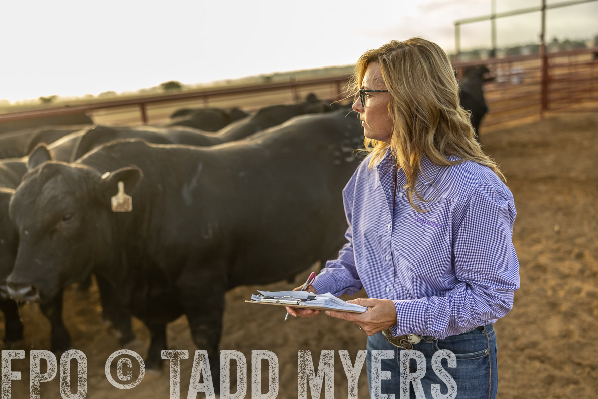 TMyers_FallBullSale_CameronTX_Oct_2024-512314
