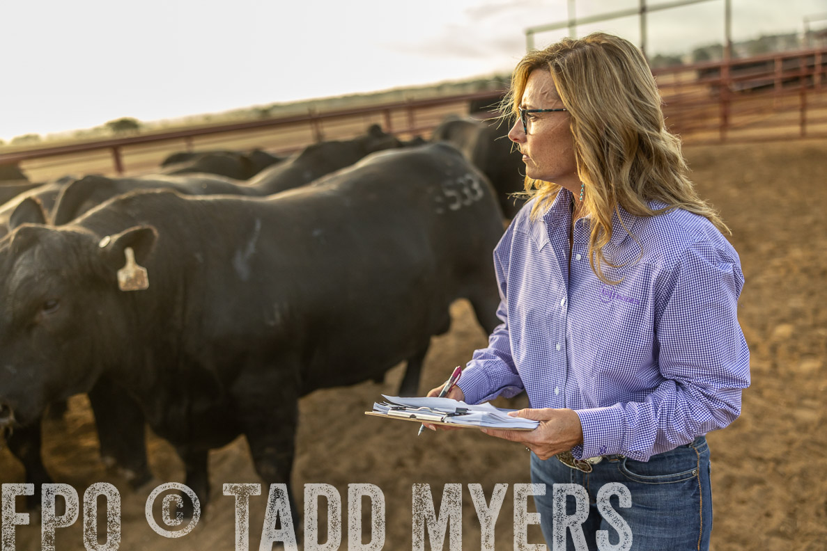 TMyers_FallBullSale_CameronTX_Oct_2024-512315