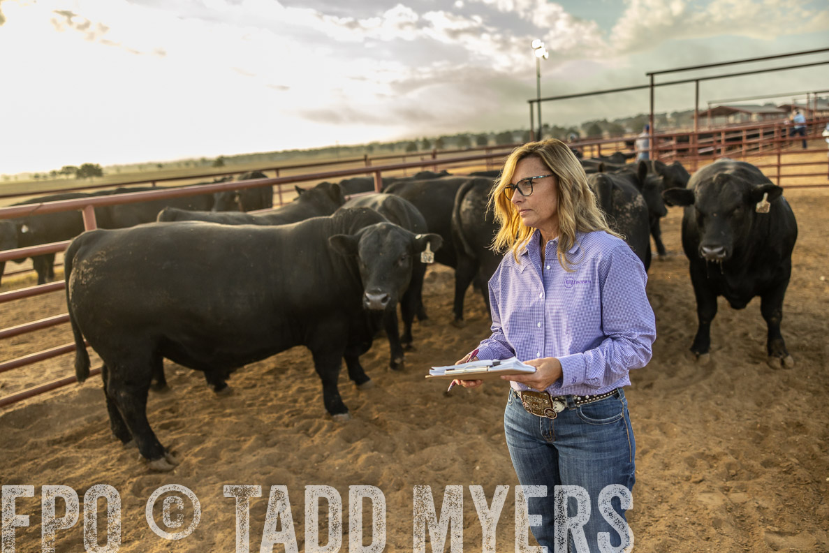 TMyers_FallBullSale_CameronTX_Oct_2024-512333