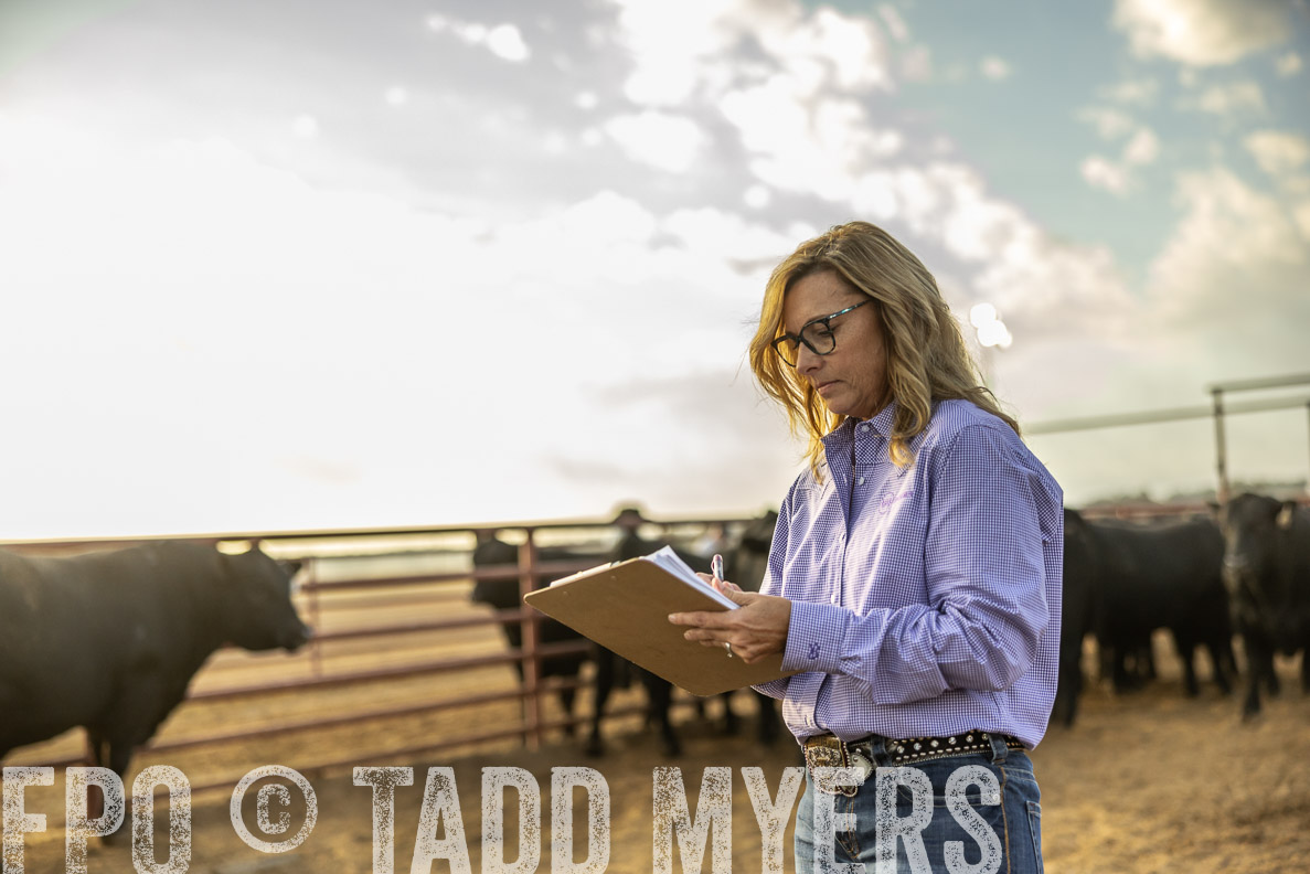 TMyers_FallBullSale_CameronTX_Oct_2024-512349