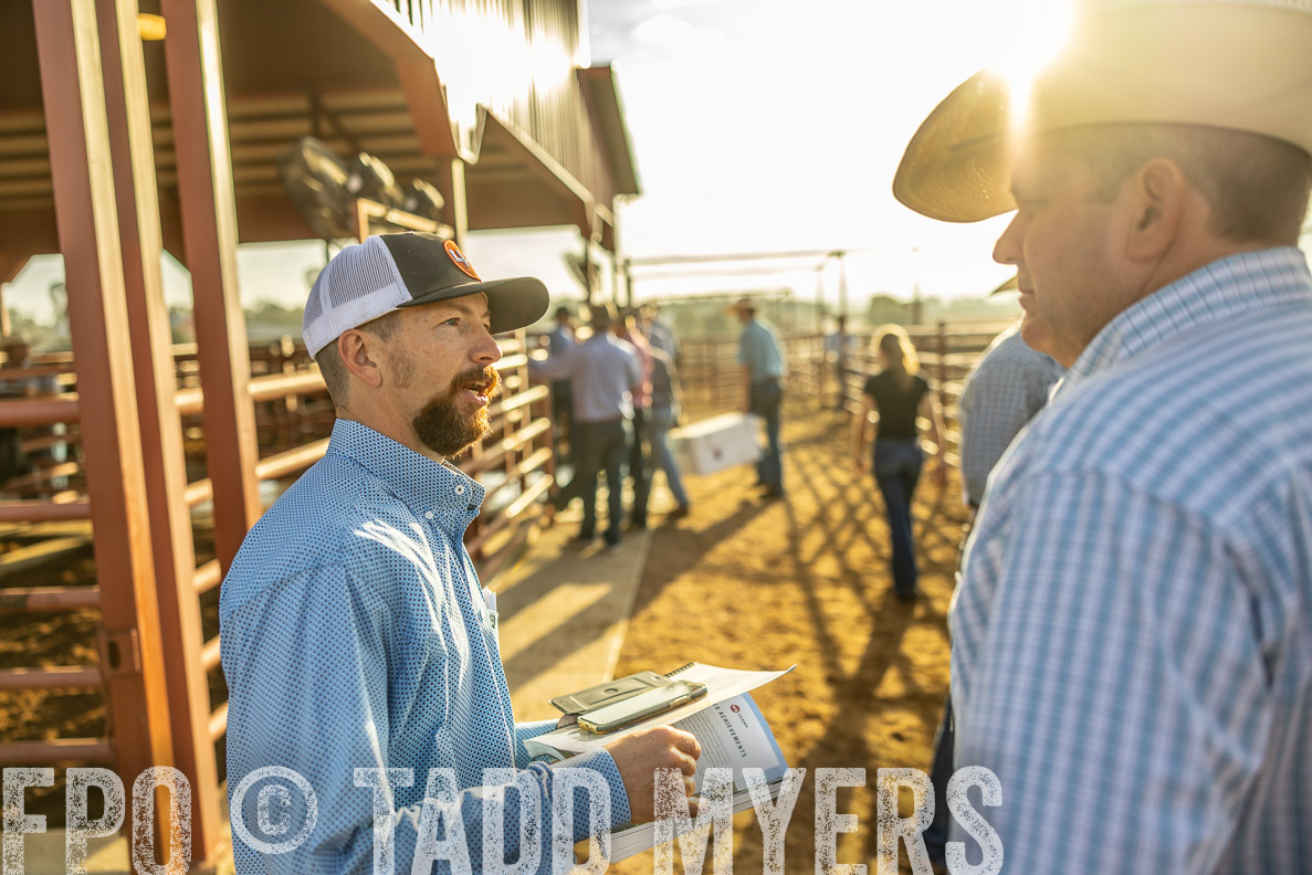 TMyers_FallBullSale_CameronTX_Oct_2024-512422