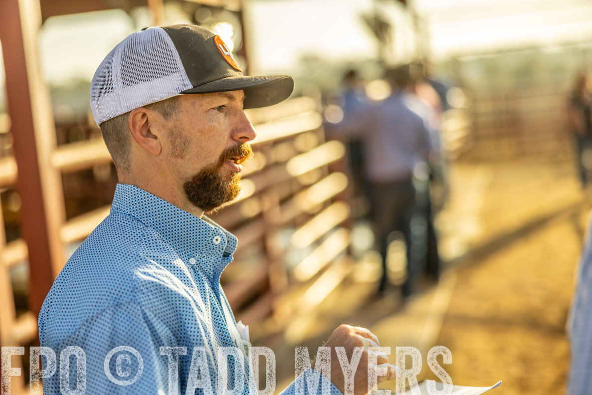 TMyers_FallBullSale_CameronTX_Oct_2024-512438