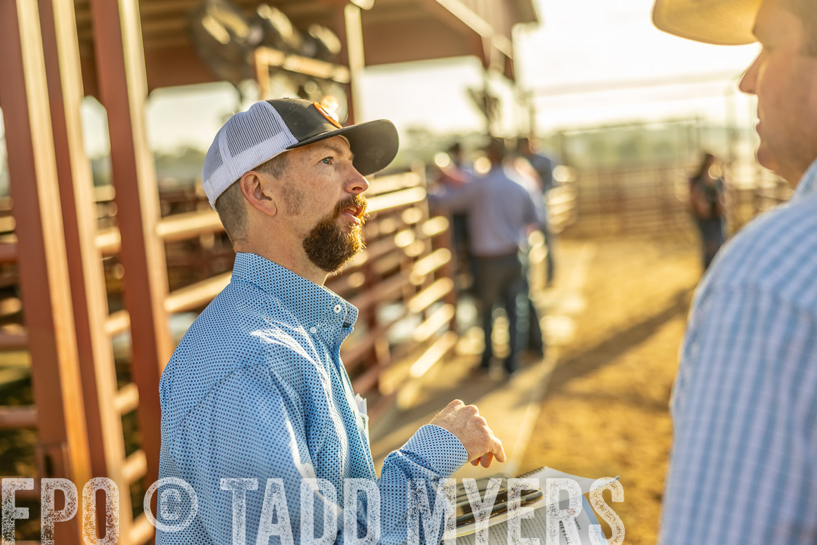 TMyers_FallBullSale_CameronTX_Oct_2024-512443