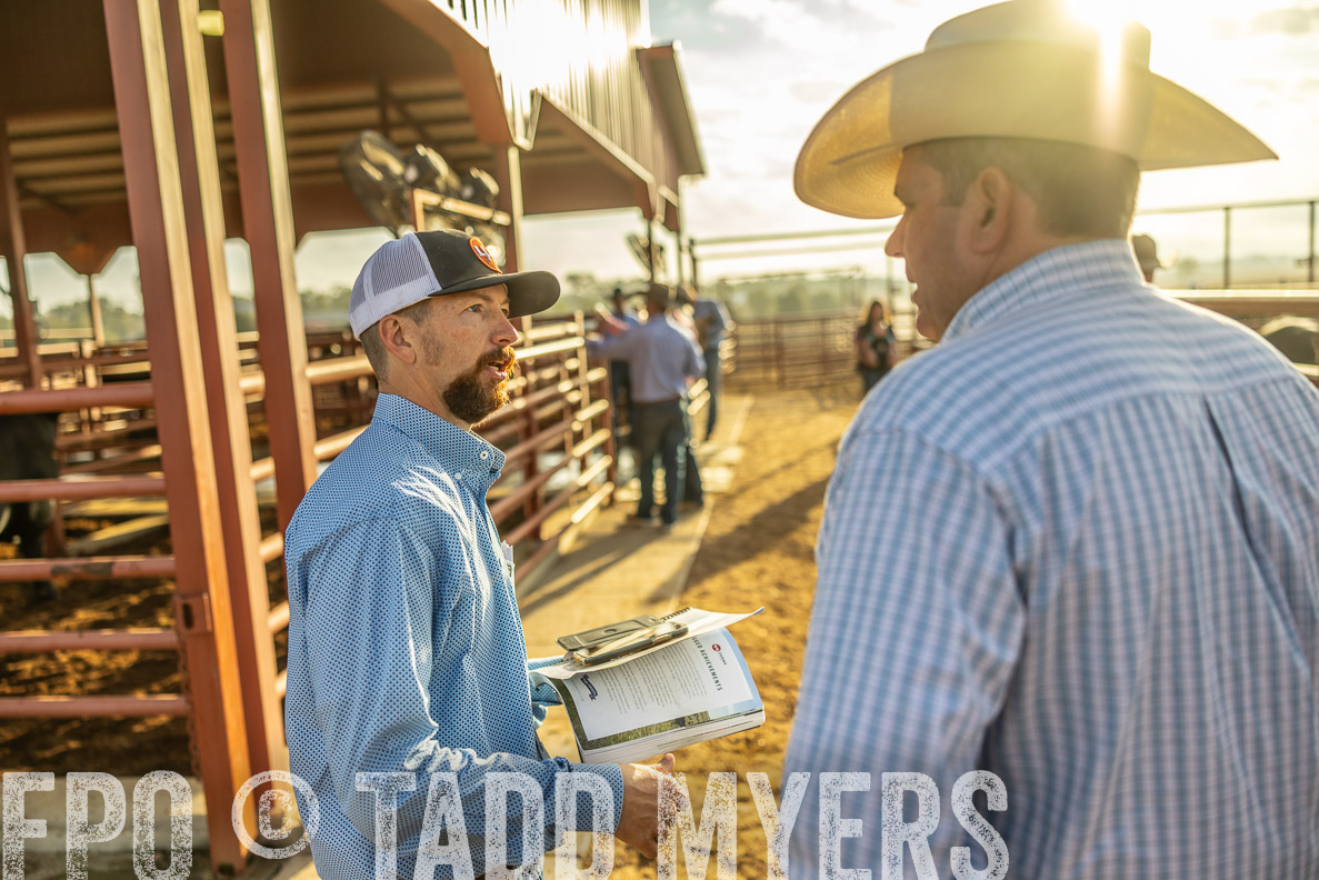 TMyers_FallBullSale_CameronTX_Oct_2024-512444
