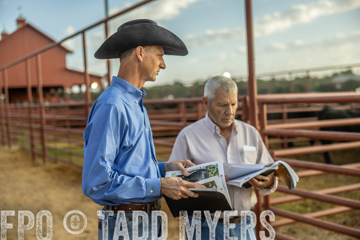 TMyers_FallBullSale_CameronTX_Oct_2024-512557