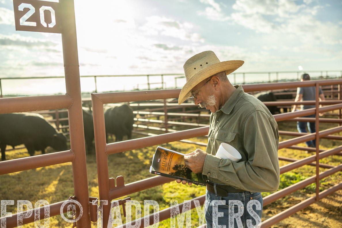TMyers_FallBullSale_CameronTX_Oct_2024-512582
